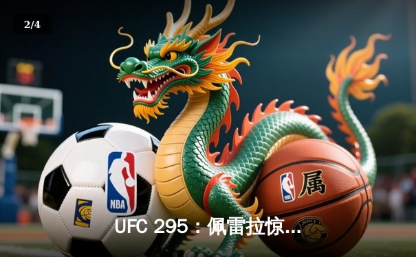 UFC 295：佩雷拉惊天逆转夺金，普罗哈兹卡卫冕失利 - 2