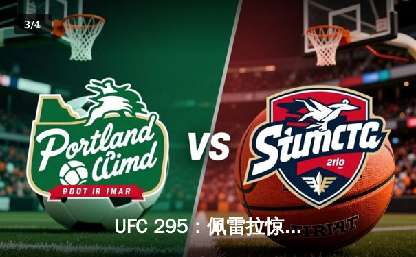 UFC 295：佩雷拉惊天逆转夺金，普罗哈兹卡卫冕失利 - 3