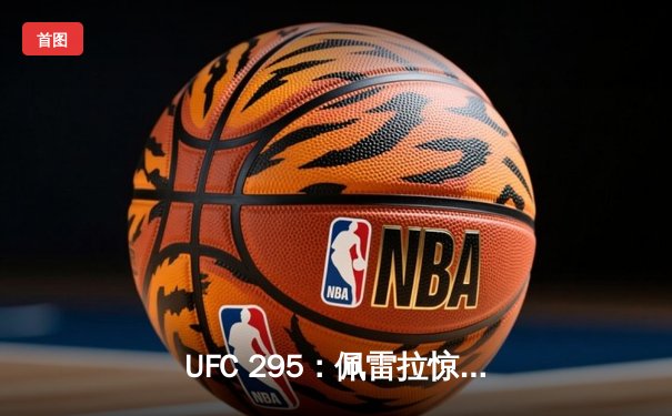 UFC 295：佩雷拉惊天逆转卫冕，普罗哈兹卡遗憾失金腰带