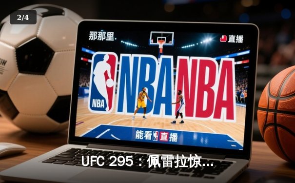 UFC 295：佩雷拉惊天逆转卫冕，普罗哈兹卡遗憾失金腰带 - 2