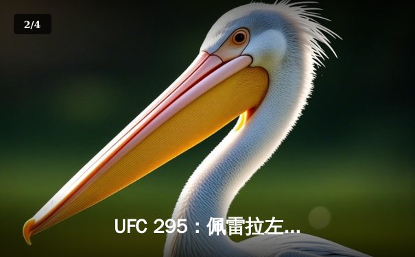 UFC 295：佩雷拉左勾拳撼动轻重量级王朝 普罗哈兹克卫冕梦碎纽约 - 2