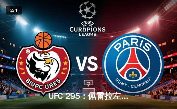 UFC 295：佩雷拉左勾拳KO普罗哈兹卡 轻重量级新王加冕 - 2