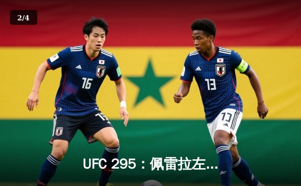 UFC 295：佩雷拉左勾拳震撼纽约，普罗哈兹卡轻重量级王冠易主 - 2