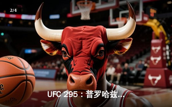 UFC 295：普罗哈兹卡vs佩雷拉轻重量级巅峰对决引爆纽约 - 2