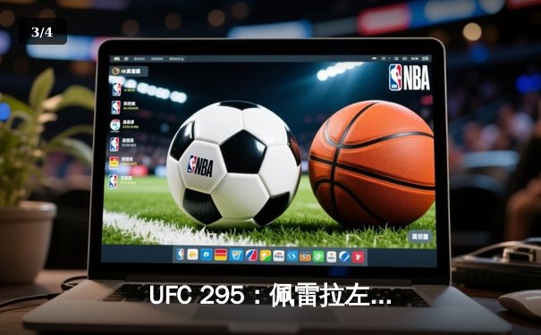 UFC 295：佩雷拉左勾拳终结普罗哈兹卡，轻重量级迎来新王者 - 3