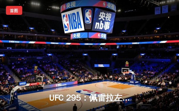 UFC 295：佩雷拉左勾拳终结普罗哈兹卡，轻重量级新王加冕