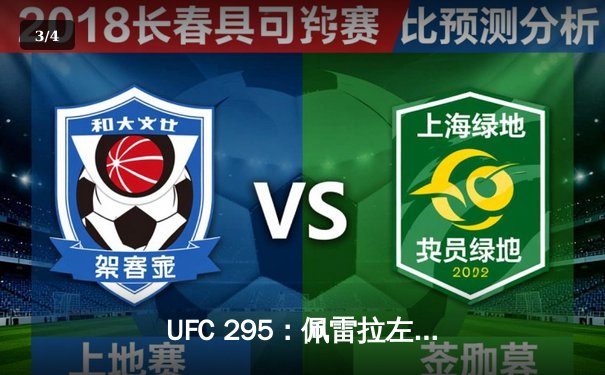 UFC 295：佩雷拉左勾拳终结普罗哈兹卡，重夺轻重量级金腰带 - 3