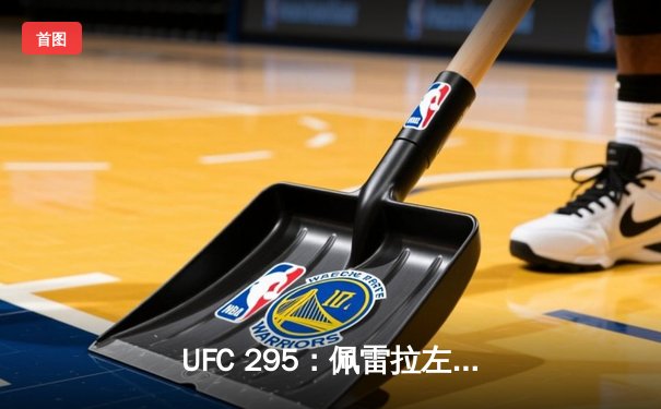 UFC 295：佩雷拉左勾拳终结普罗哈兹卡，轻重量级新王加冕