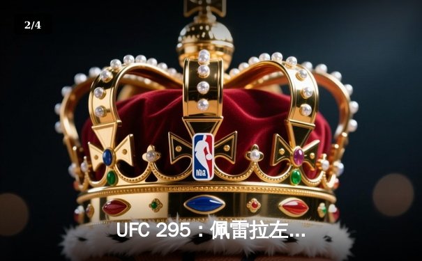 UFC 295：佩雷拉左勾拳终结普罗哈兹卡，轻重量级新王加冕 - 2