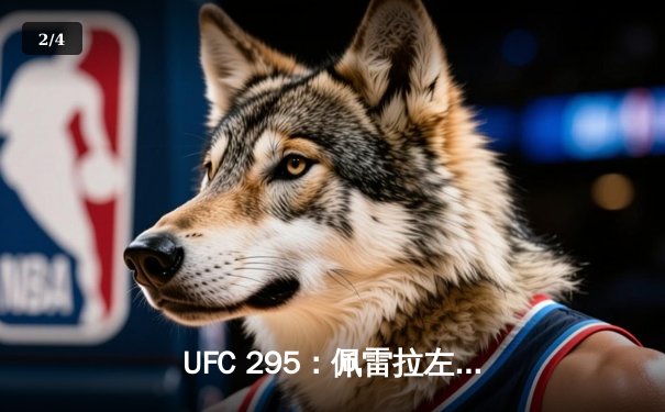 UFC 295：佩雷拉左勾拳终结普罗哈兹卡，亚洲新星李正勇创最快KO纪录 - 2