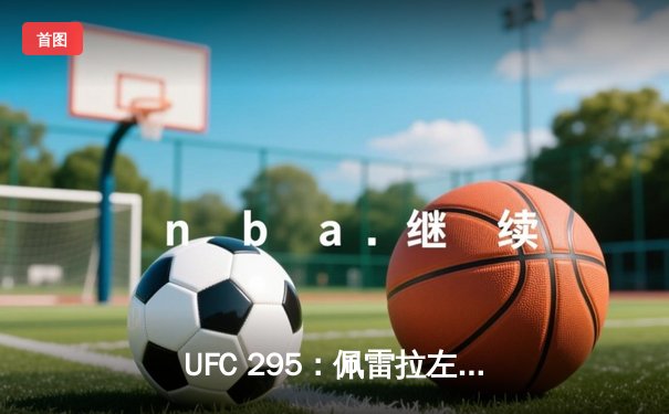 UFC 295：佩雷拉左勾拳终结普罗哈兹卡，重夺轻重量级金腰带