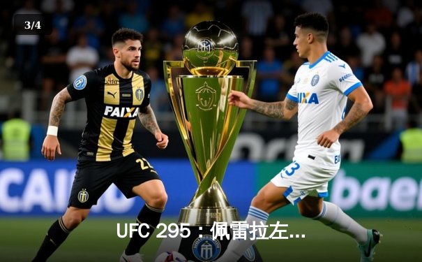 UFC 295：佩雷拉左勾拳终结普罗哈兹卡，闪电夺得轻重量级金腰带 - 3