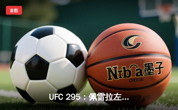 UFC 295：佩雷拉左勾拳终结普罗哈兹卡，轻重量级迎来新王者