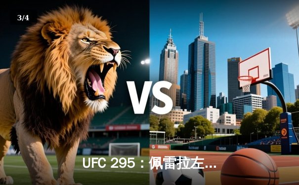 UFC 295：佩雷拉左勾拳终结普罗哈兹卡，轻重量级迎来新王者 - 3
