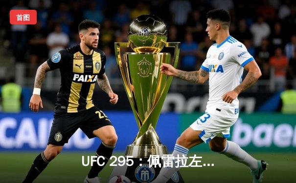 UFC 295：佩雷拉左勾拳终结普罗哈兹卡，轻重量级迎来新王者