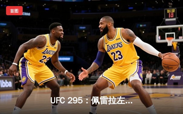UFC 295：佩雷拉左勾拳终结普罗哈兹卡，闪电夺得轻重量级金腰带
